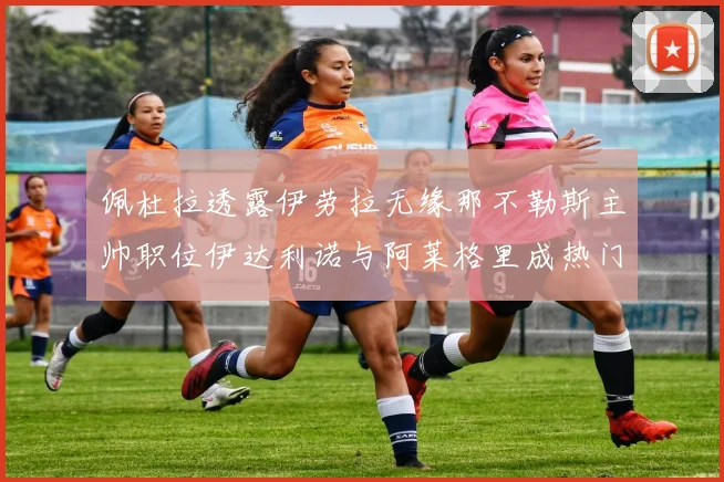 佩杜拉透露伊劳拉无缘那不勒斯主帅职位伊达利诺与阿莱格里成热门候选人