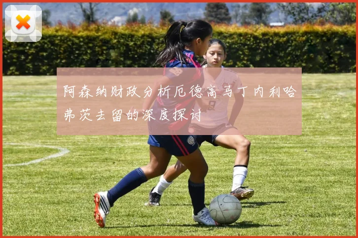 阿森纳财政分析厄德高马丁内利哈弗茨去留的深度探讨