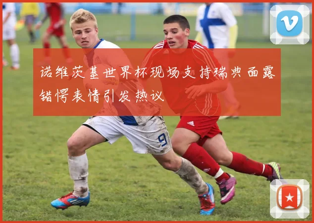诺维茨基世界杯现场支持瑞典面露错愕表情引发热议