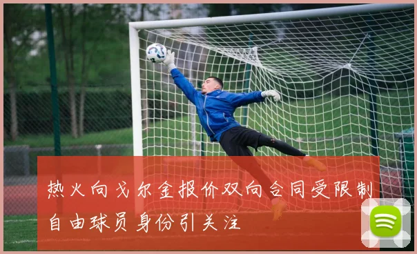 热火向戈尔金报价双向合同受限制自由球员身份引关注