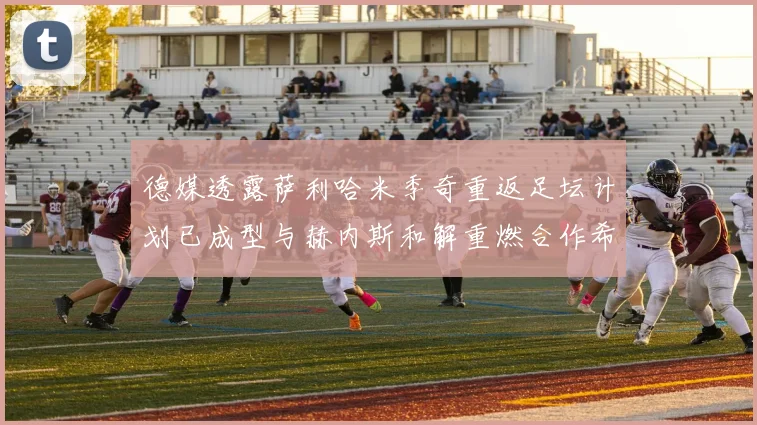 德媒透露萨利哈米季奇重返足坛计划已成型与赫内斯和解重燃合作希望